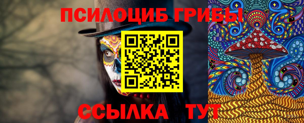 Галлюциногенные грибы Cubensis  Вход с VPN  Тамбов 